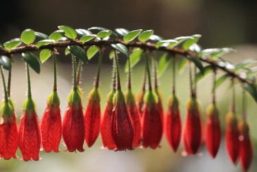 惠州惠阳区4私人快速借钱网，轻松解决资金难题