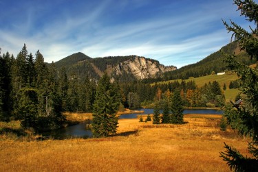 惠州惠阳区4民间私贷攻略：揭秘低成本借贷的秘密