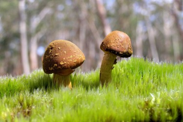 惠州惠阳区4私人老板放款：轻松融资的秘密通道